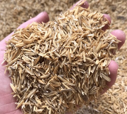 Rice husk