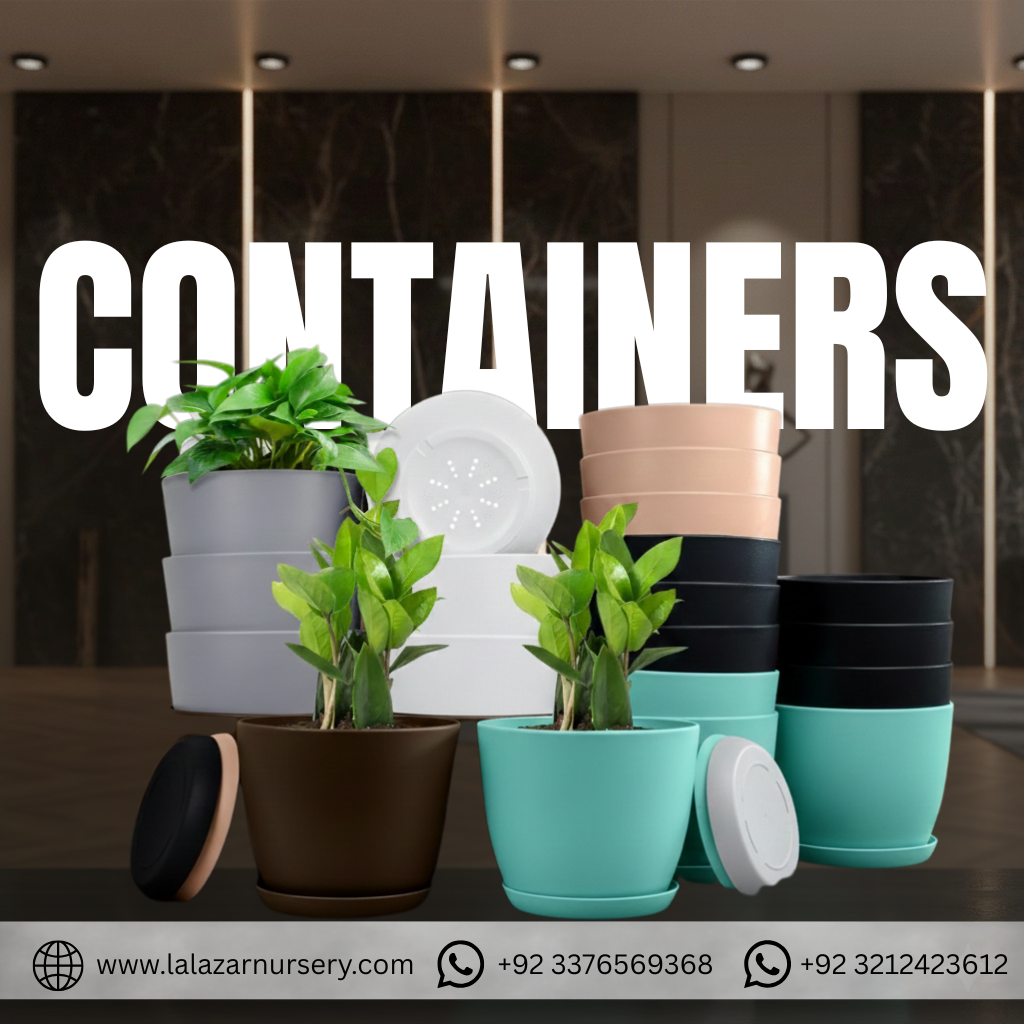 Containers,  Tools And Decorative Aggregates