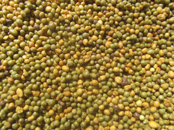 Gardening Booster, Planting materials And Treatment