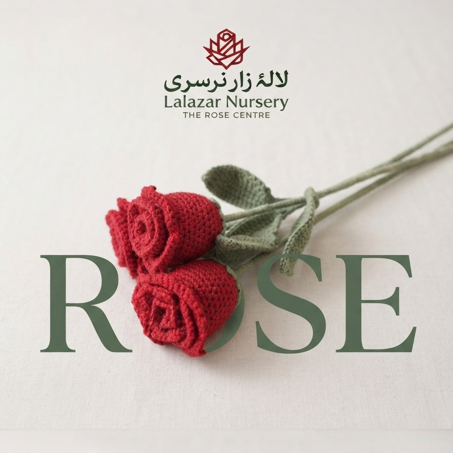 Crochet Rose