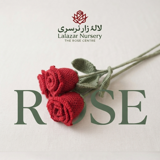 Crochet Rose